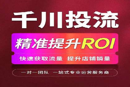 SEO与百度推广结合的营销策略——经典案例解析